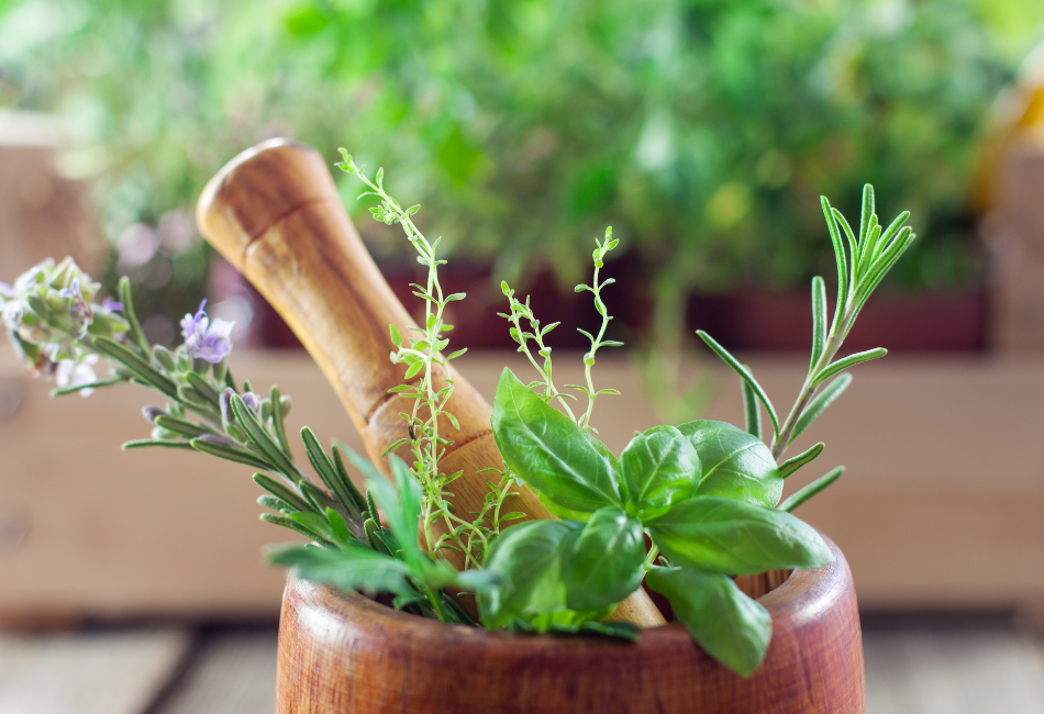 fresh herbs for keto by jdw